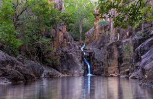 Kakadu