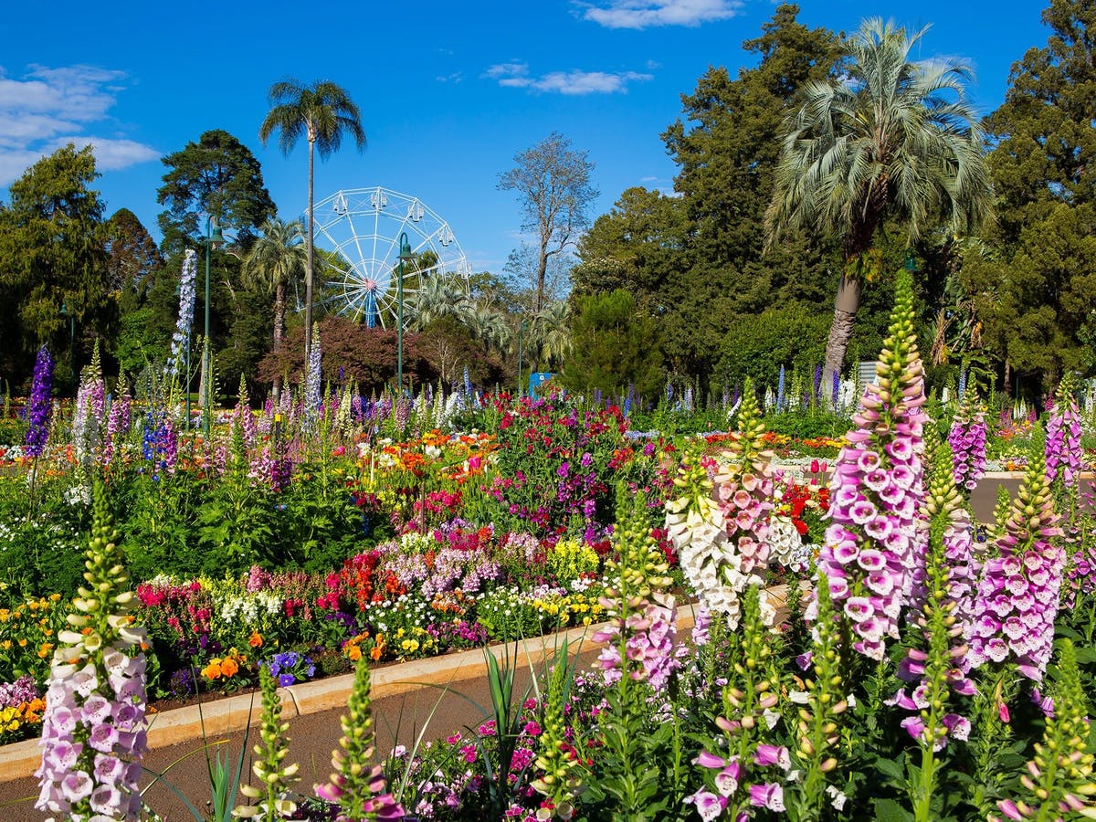 Toowoomba Carnival of Flowers