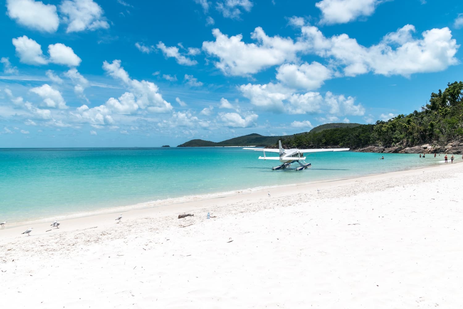 Hamilton Island - Seaplane