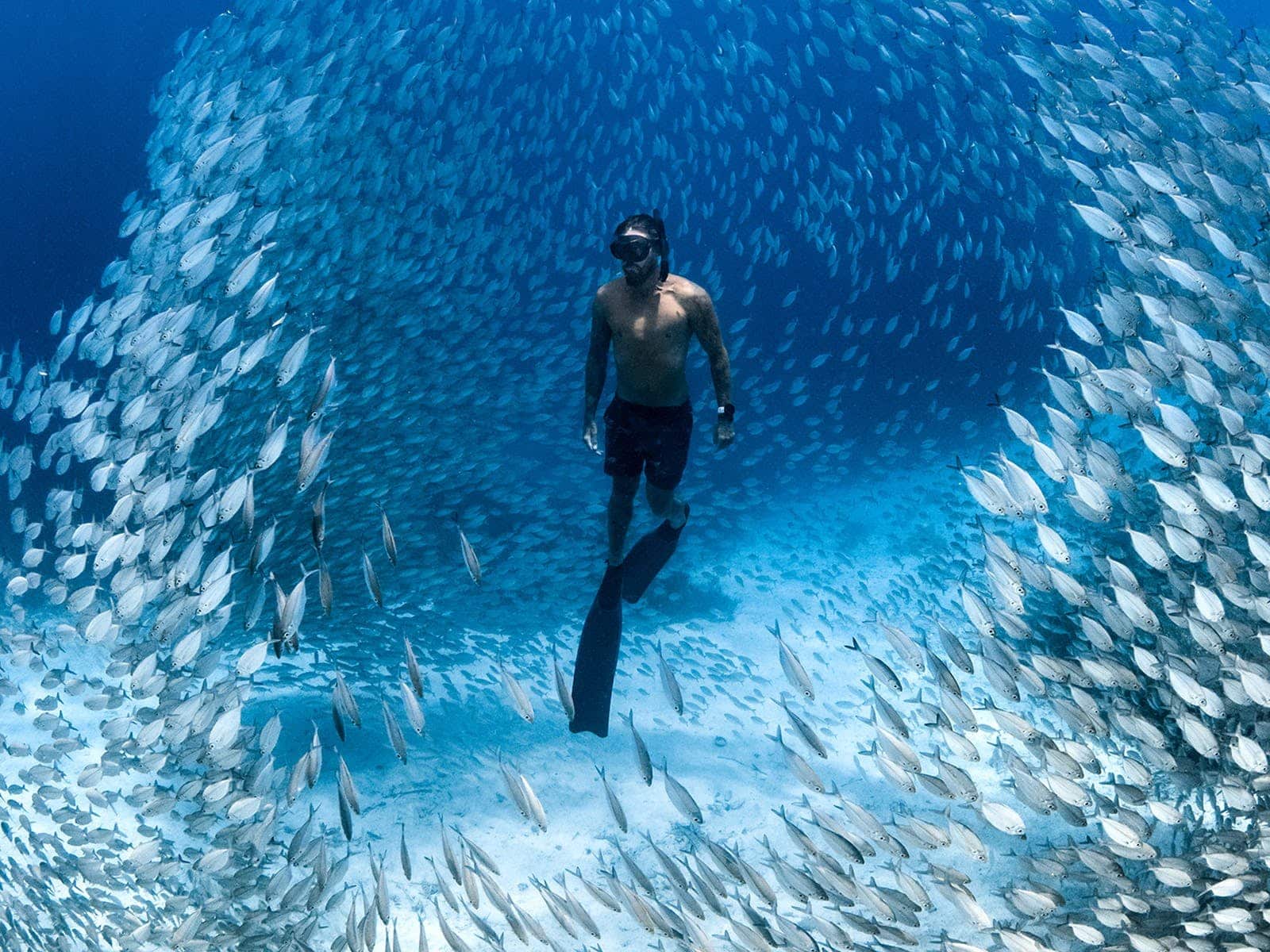 Ocean Film Festival 2023