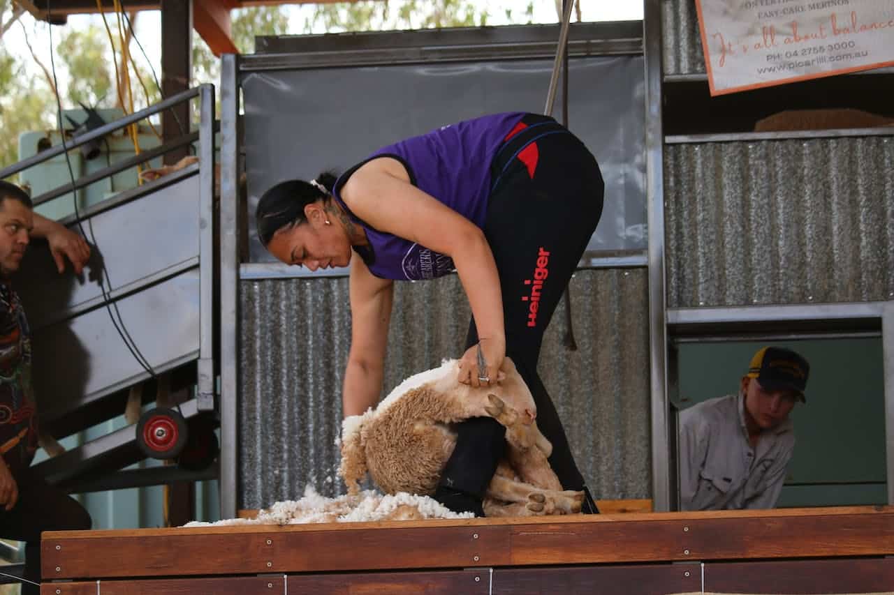 The Shearers Shindig